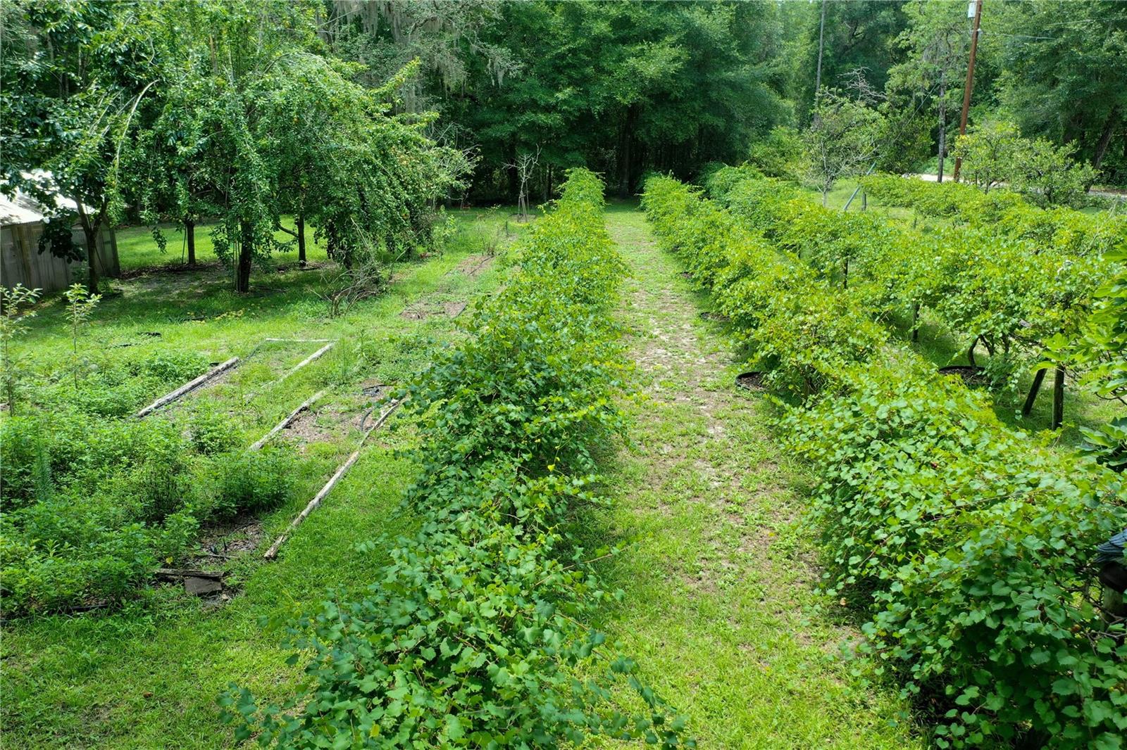 113 KENT ESTATE RD, ELKTON, FL, 32033
