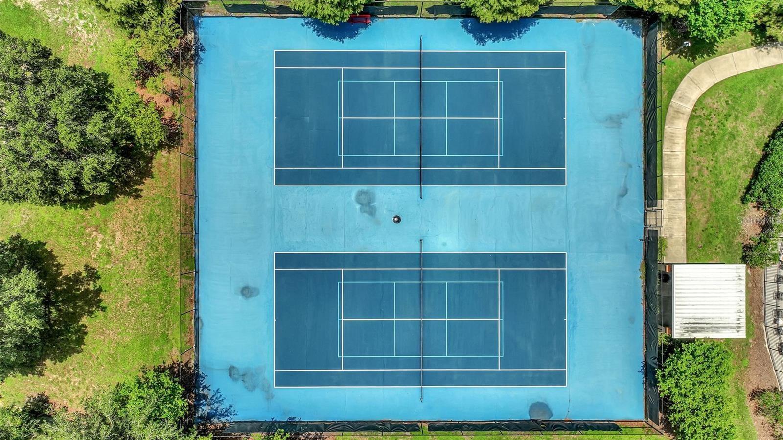 18815 HAMPSTEAD HEATH CT, LAND O LAKES, FL, 34638