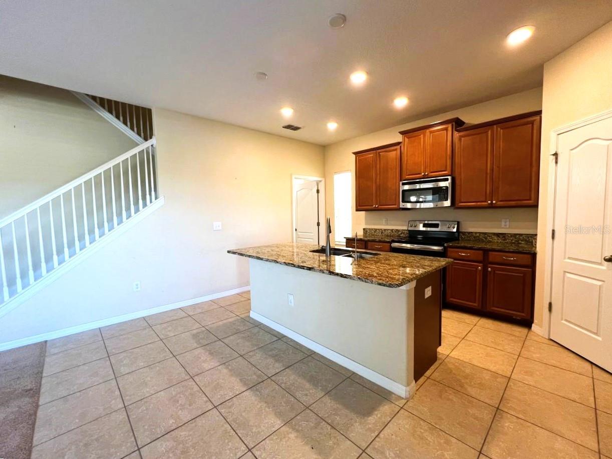 18815 HAMPSTEAD HEATH CT, LAND O LAKES, FL, 34638