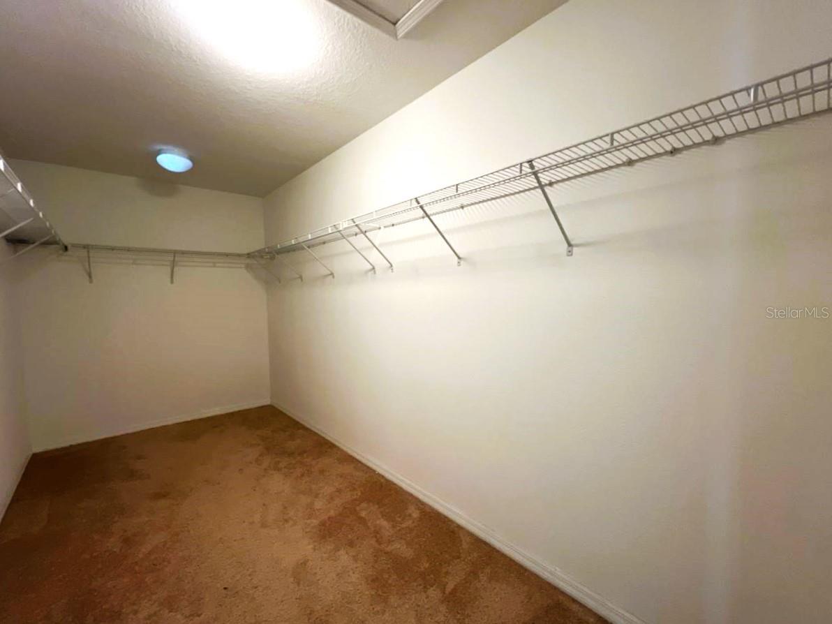 18815 HAMPSTEAD HEATH CT, LAND O LAKES, FL, 34638