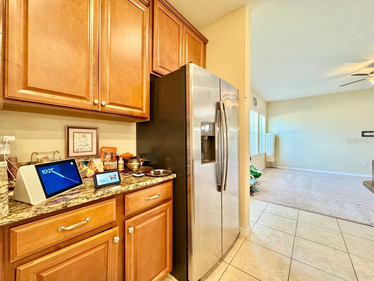 18815 HAMPSTEAD HEATH CT, LAND O LAKES, FL, 34638