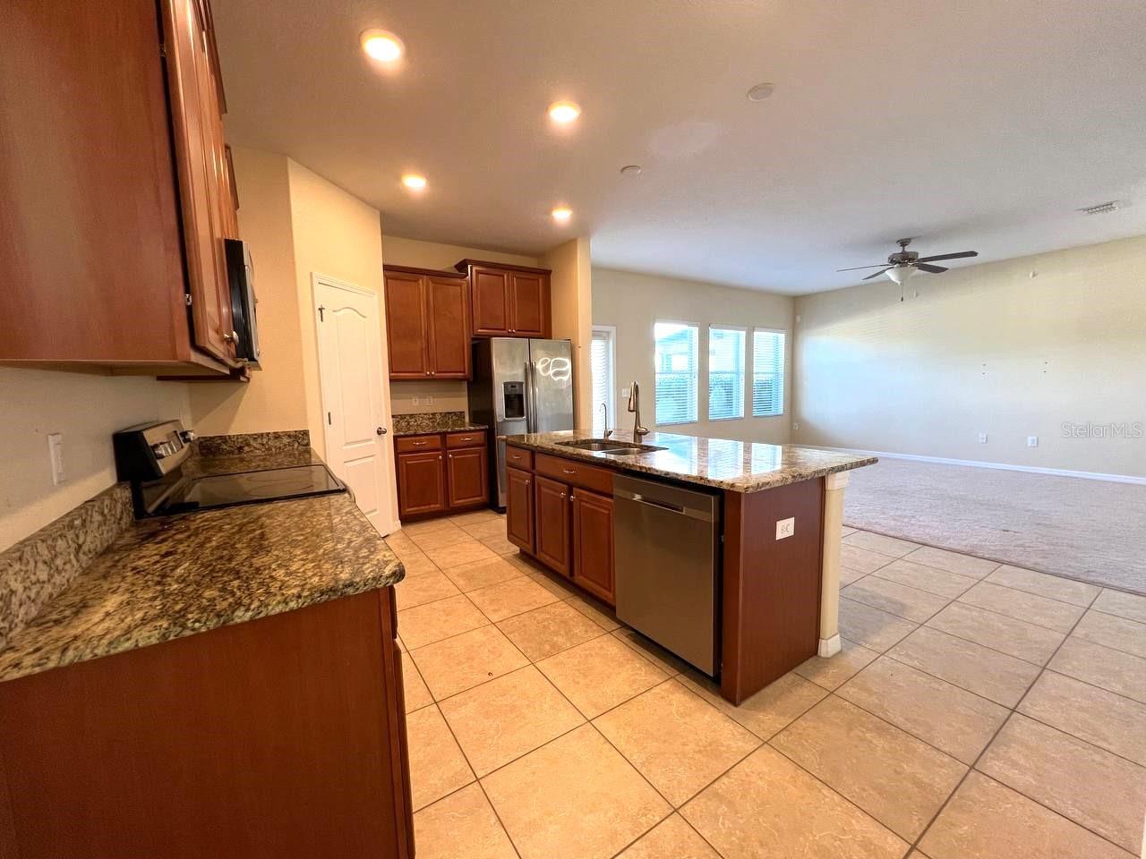 18815 HAMPSTEAD HEATH CT, LAND O LAKES, FL, 34638