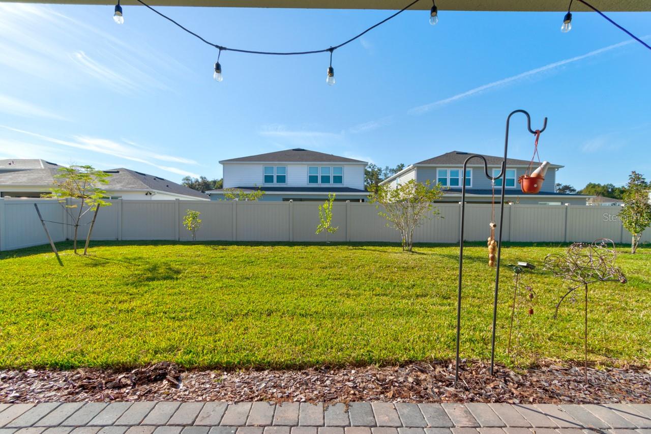 4009 WINDING MEADOWS ST, APOPKA, FL, 32712