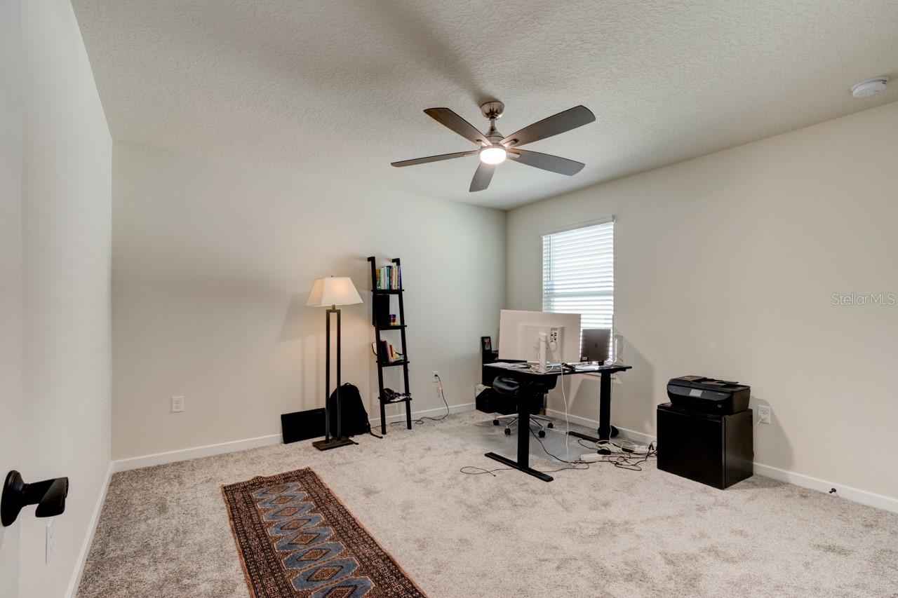 4009 WINDING MEADOWS ST, APOPKA, FL, 32712