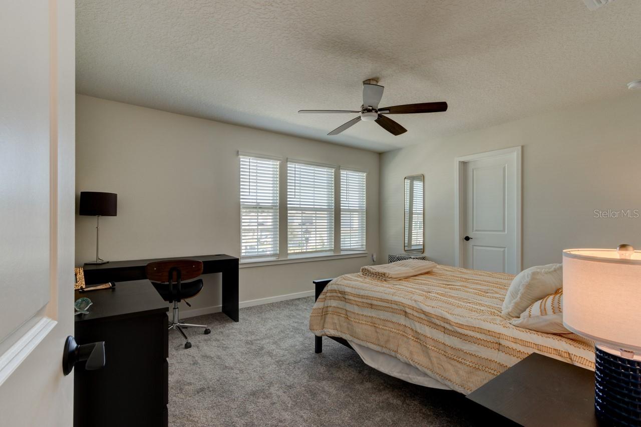 4009 WINDING MEADOWS ST, APOPKA, FL, 32712