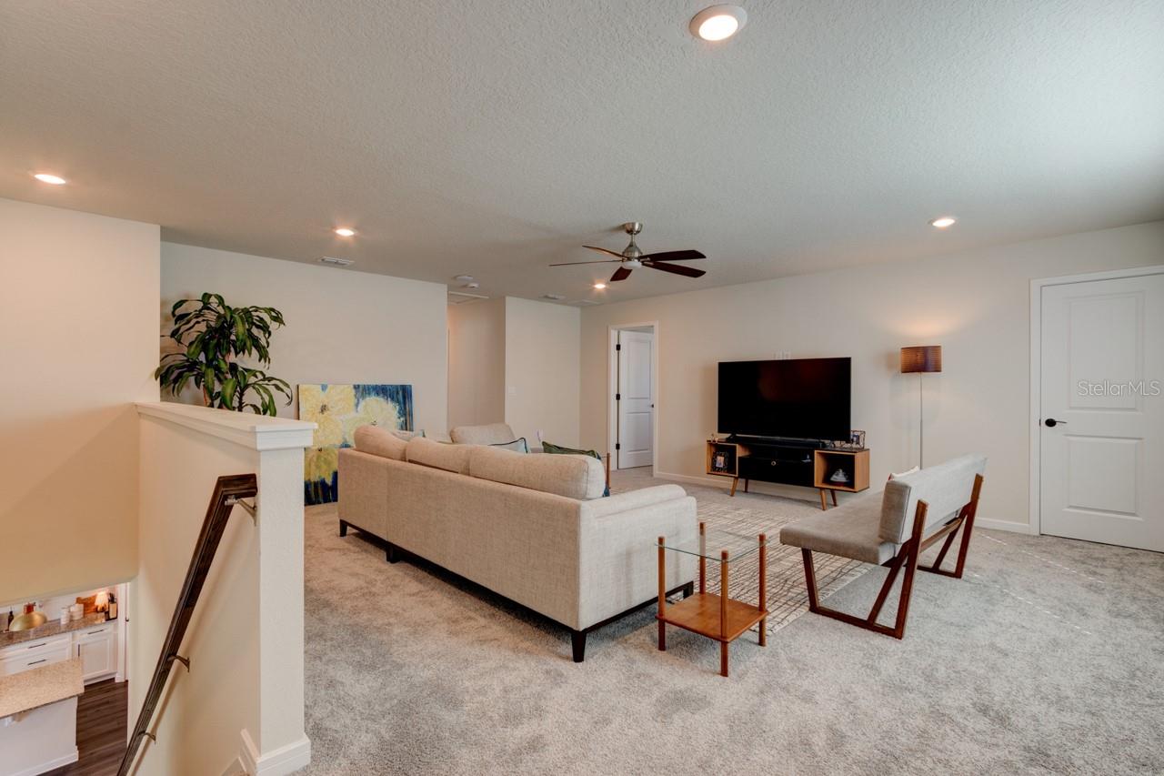 4009 WINDING MEADOWS ST, APOPKA, FL, 32712