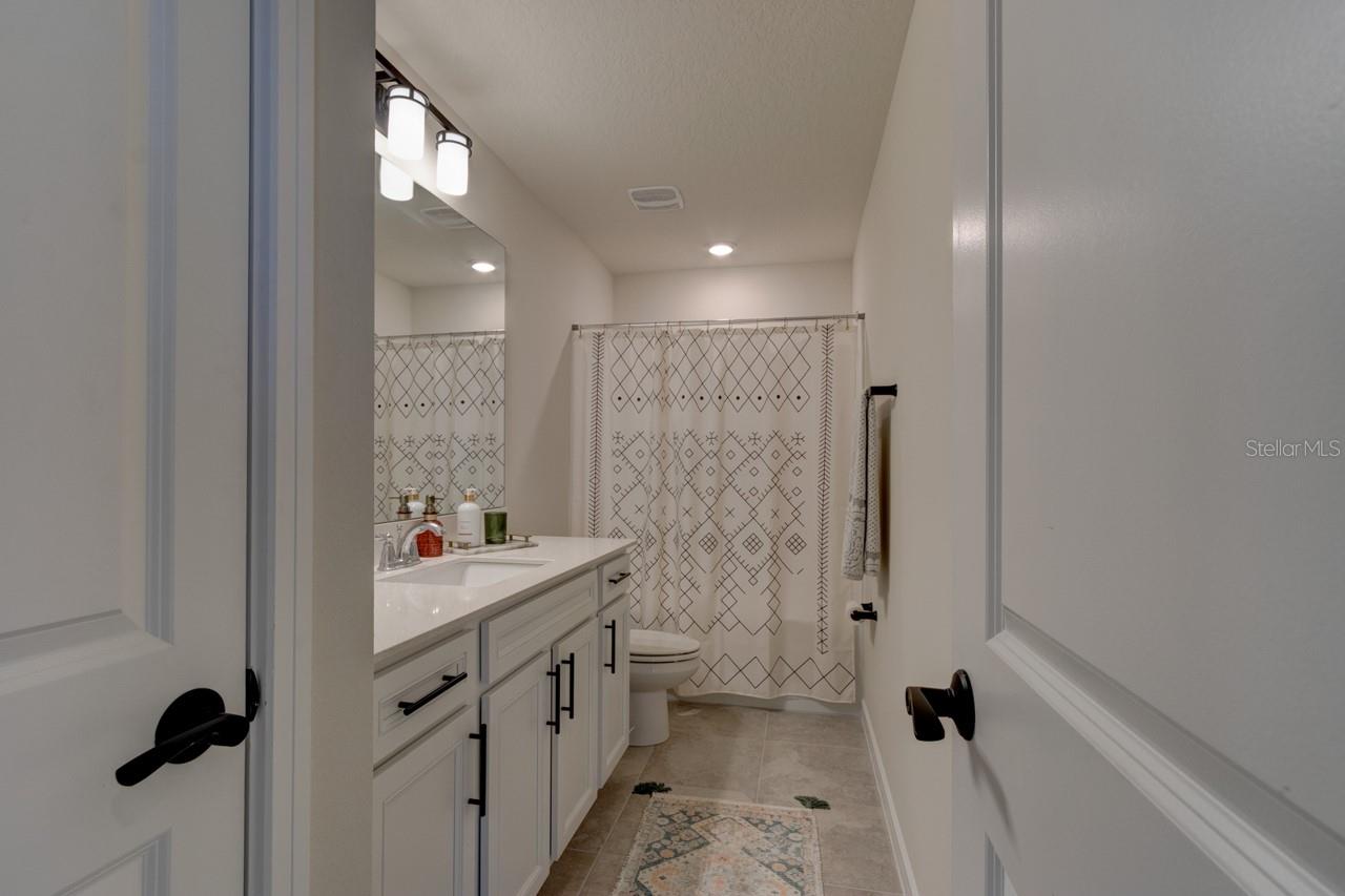 4009 WINDING MEADOWS ST, APOPKA, FL, 32712