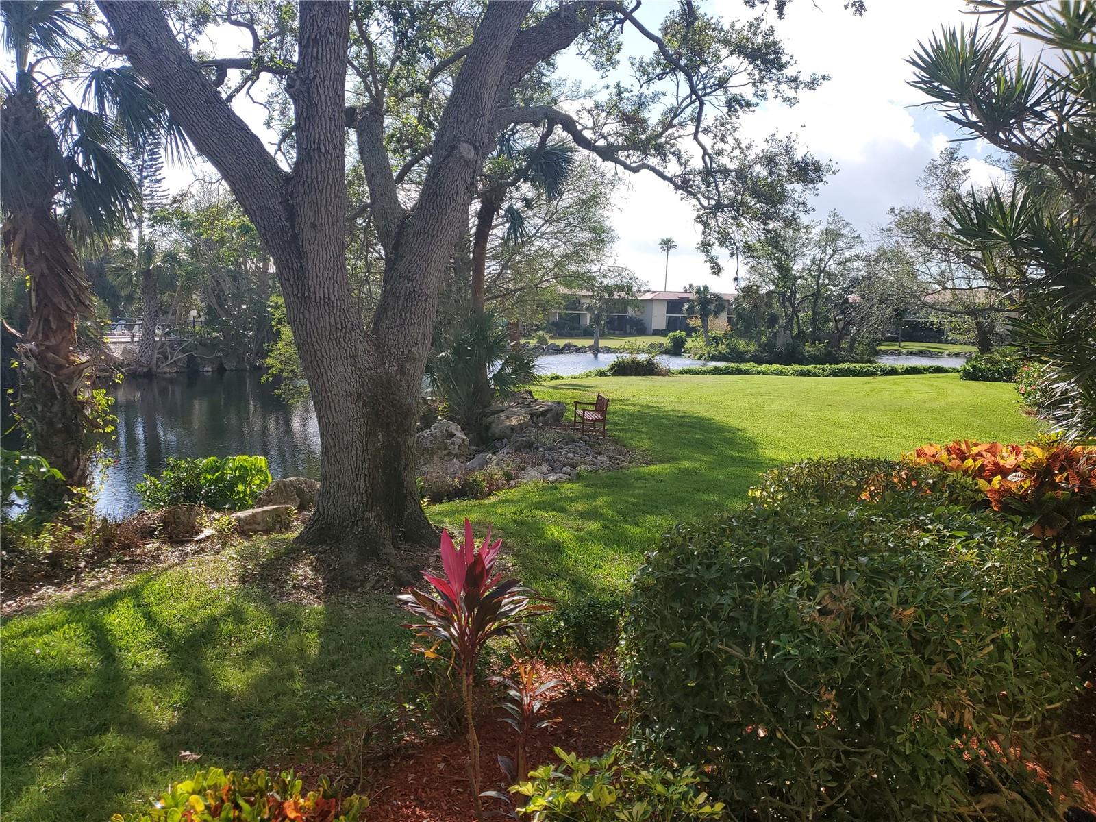6466 SEAGULL DR #323, BRADENTON, FL, 34210