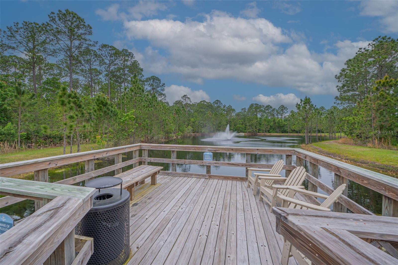 216 GRAND RESERVE DR, BUNNELL, FL, 32110