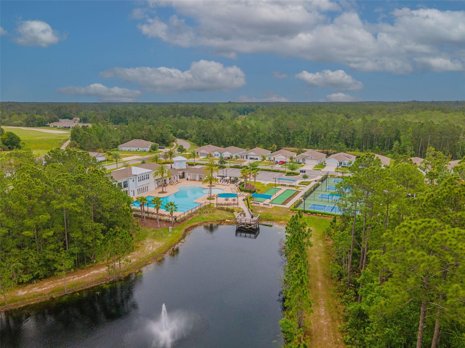 216 GRAND RESERVE DR, BUNNELL, FL, 32110