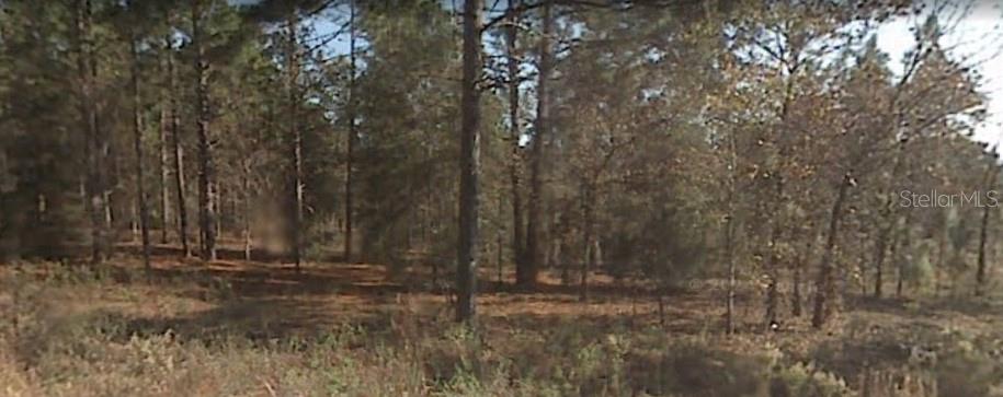 TBD SW 156TH CT #Lot 22, OCALA, FL, 34481