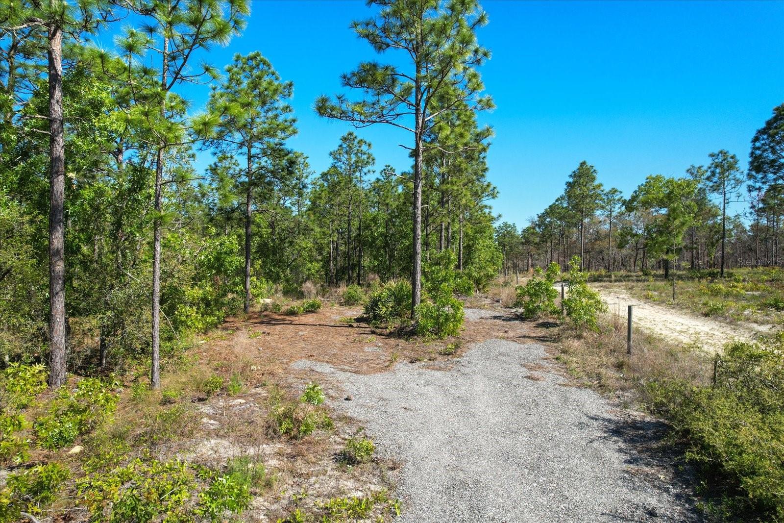 12090 RASCHKE RUN, WEEKI WACHEE, FL, 34614