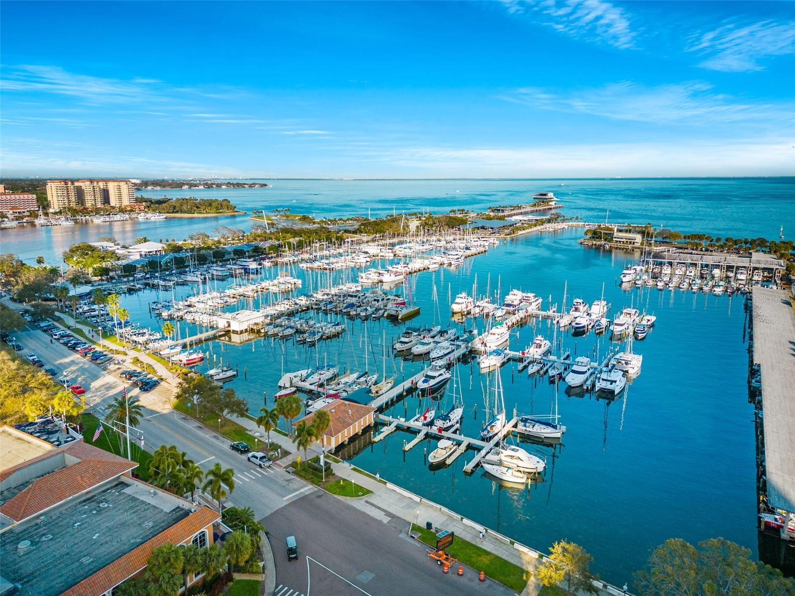 1020 85TH AVE N #223, ST PETERSBURG, FL, 33702