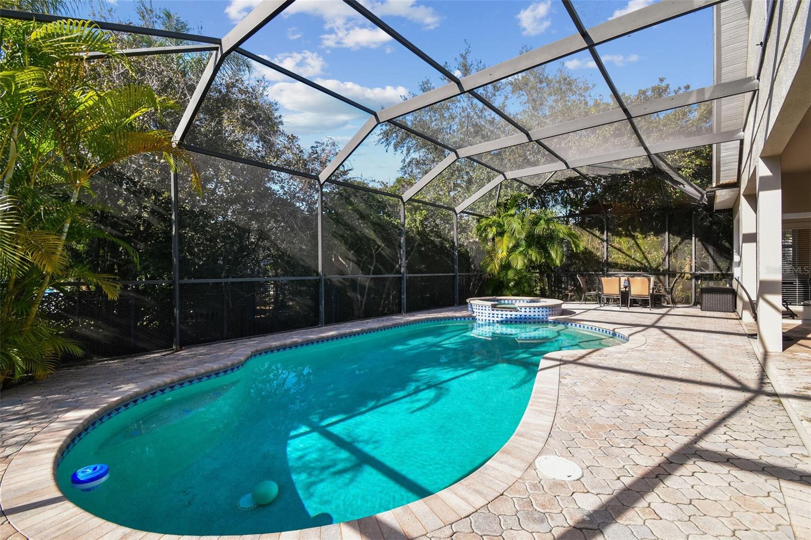 11909 MANDEVILLA CT, TAMPA, FL, 33626