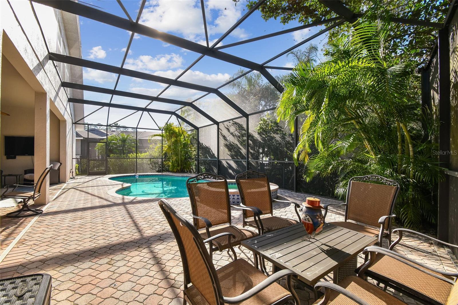 11909 MANDEVILLA CT, TAMPA, FL, 33626