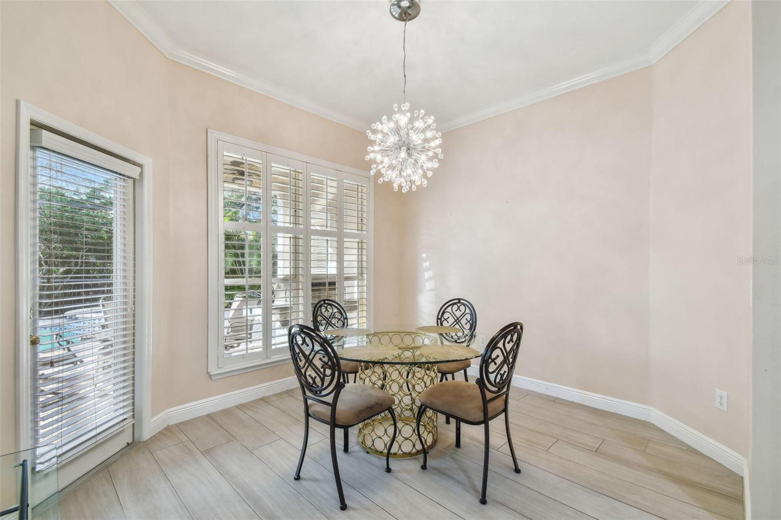 11909 MANDEVILLA CT, TAMPA, FL, 33626