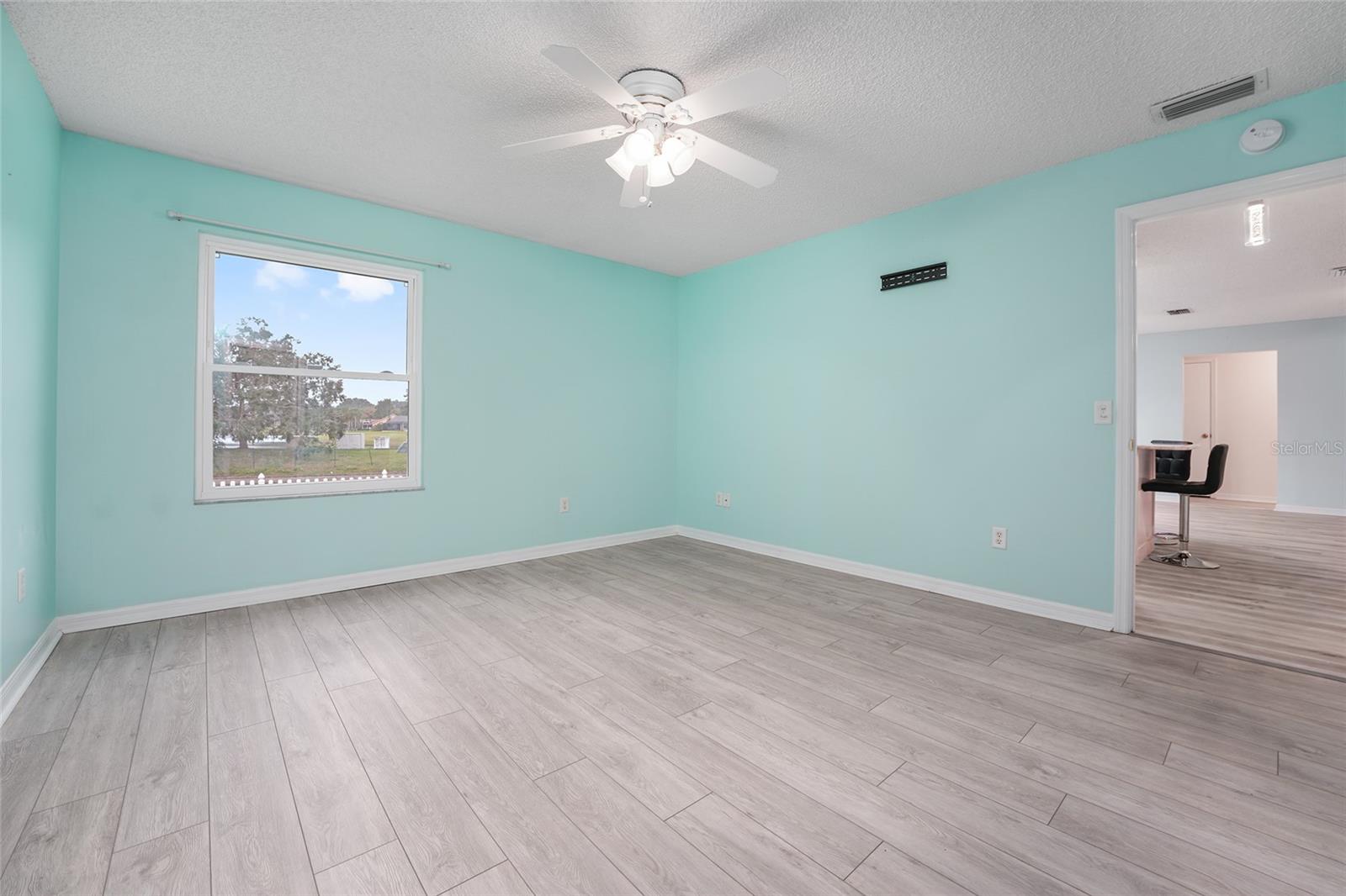 707 HUDSON LN, LADY LAKE, FL, 32159