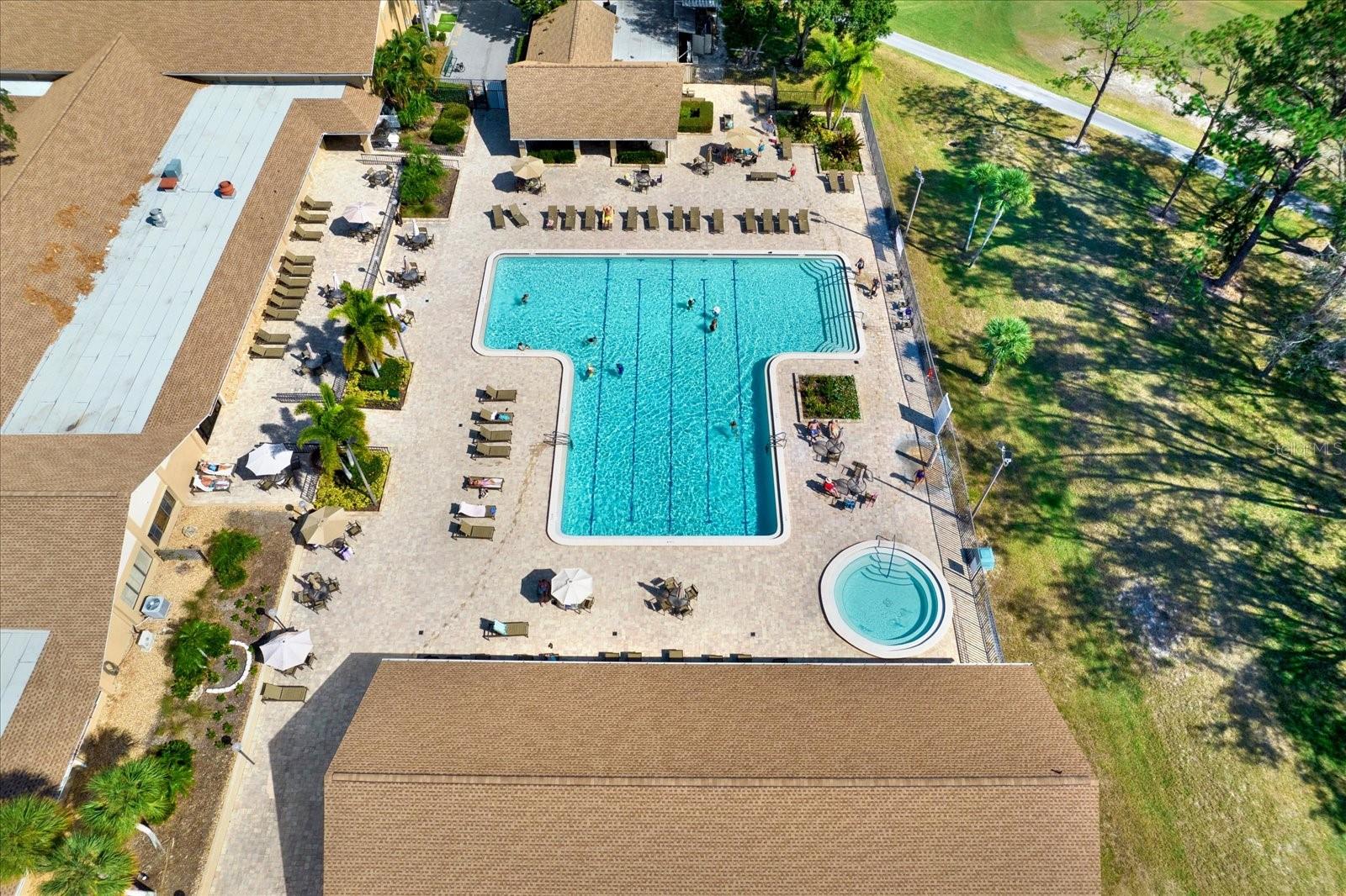 1481 DUNDEE DR, PALM HARBOR, FL, 34684