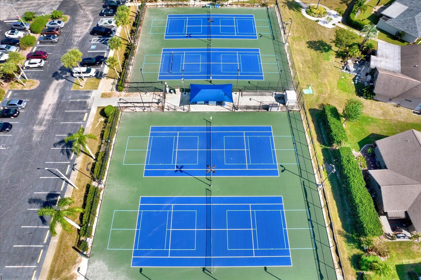 1481 DUNDEE DR, PALM HARBOR, FL, 34684