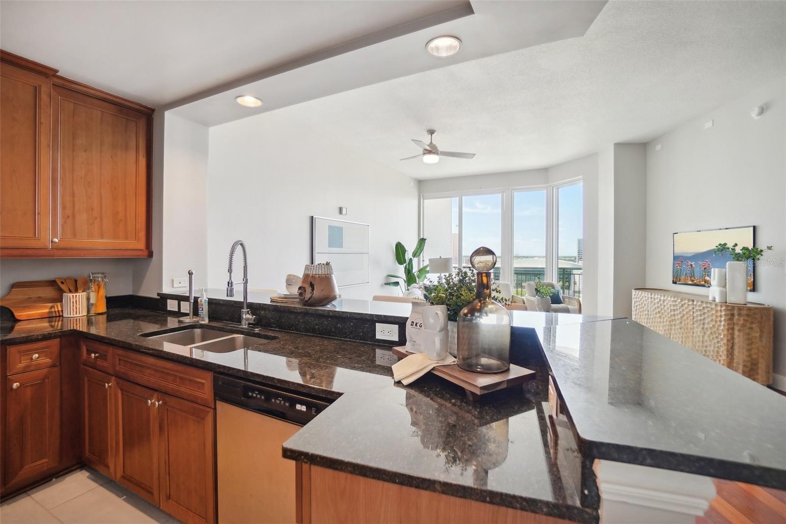 450 KNIGHTS RUN AVE #1603, TAMPA, FL, 33602