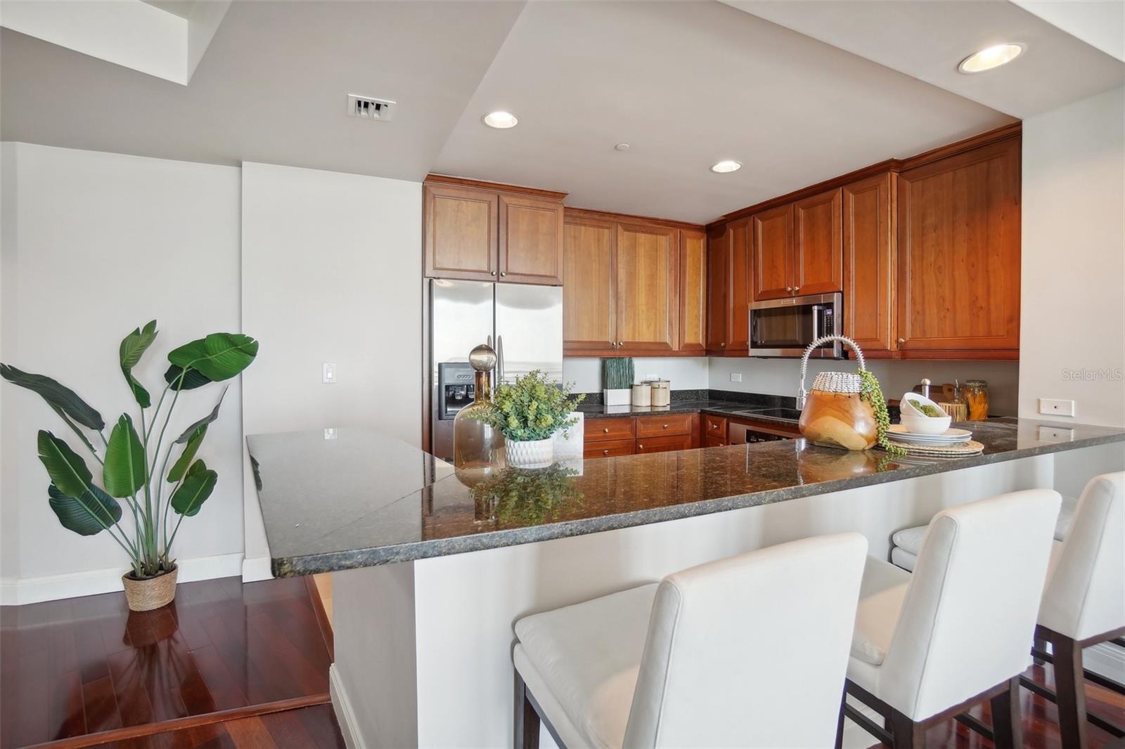 450 KNIGHTS RUN AVE #1603, TAMPA, FL, 33602