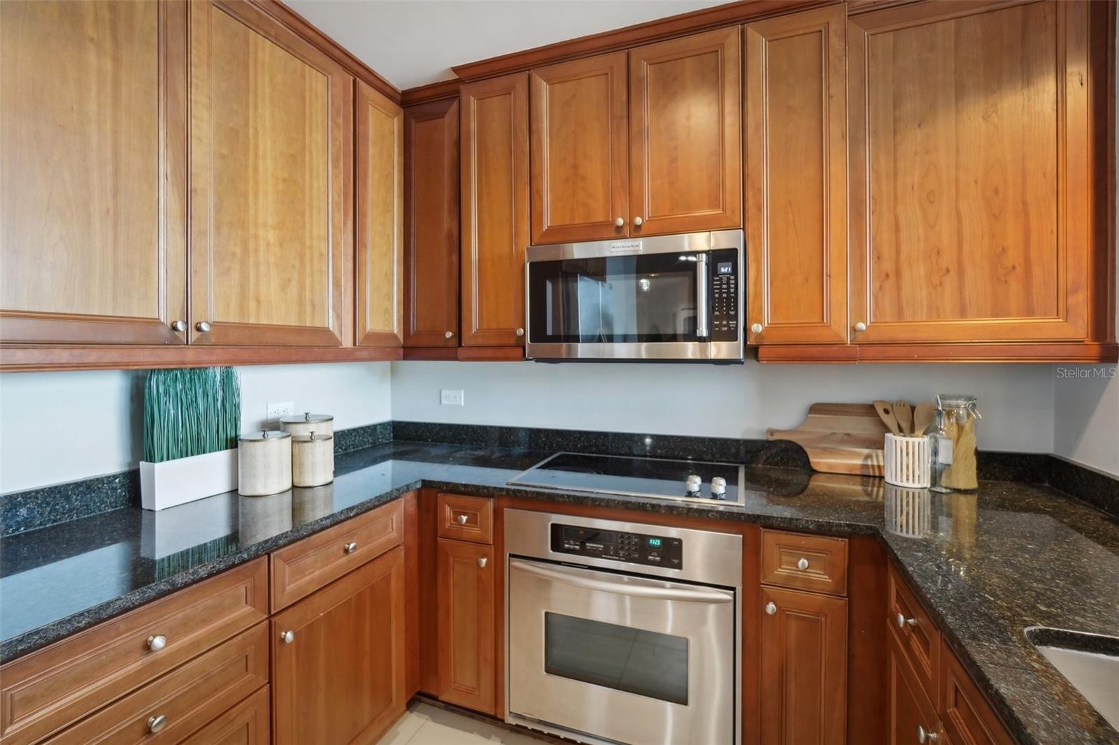 450 KNIGHTS RUN AVE #1603, TAMPA, FL, 33602