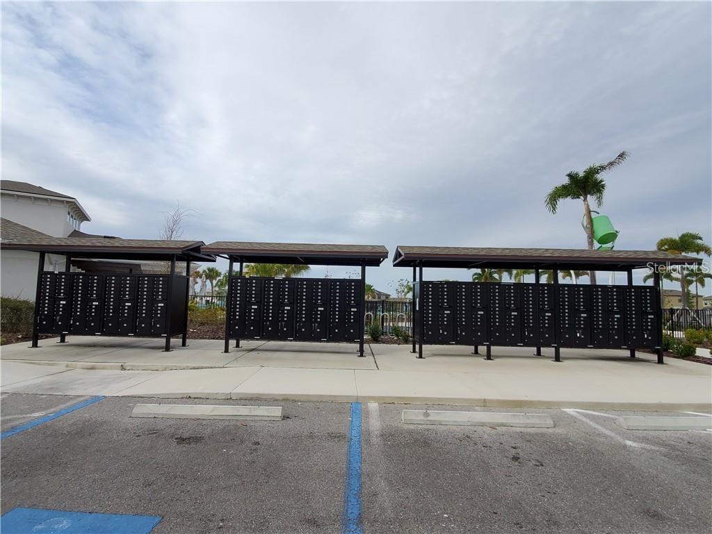 3605 ROMANO BUSCIGLIO ST, TAMPA, FL, 33619