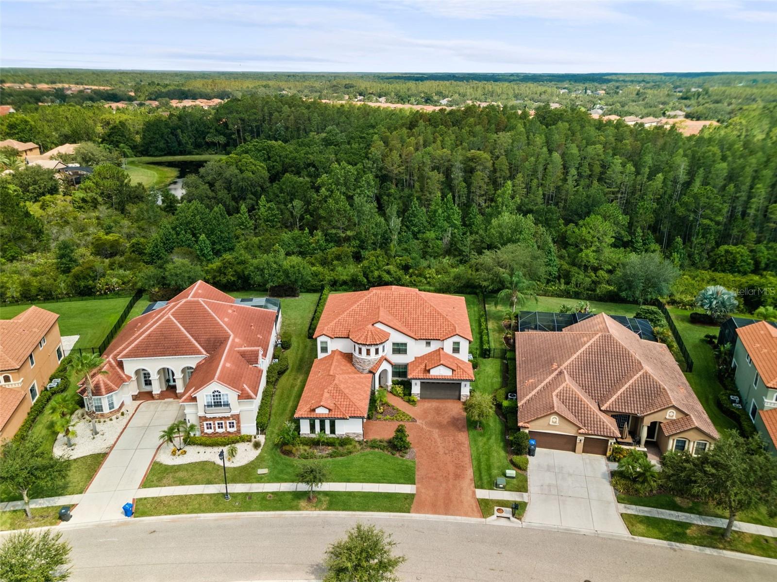8414 DUNHAM STATION DR, TAMPA, FL, 33647