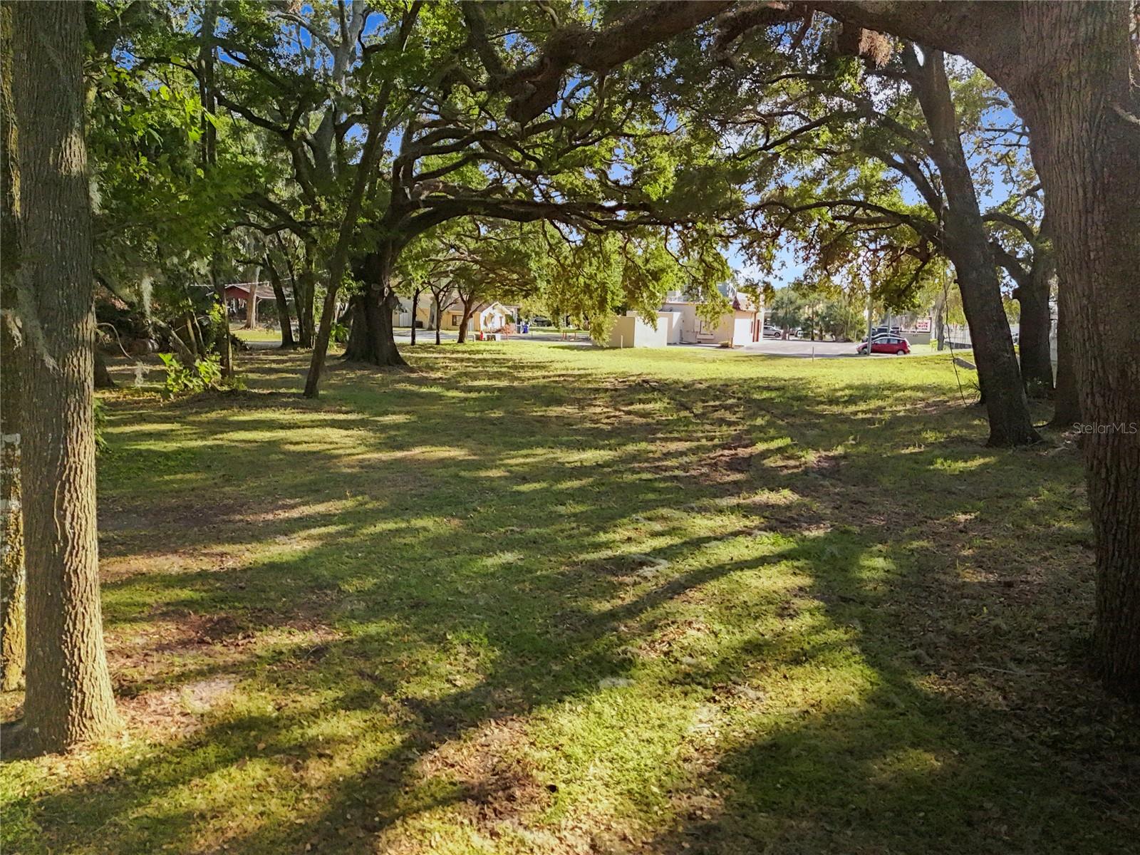 LION LN, TAVARES, FL, 32778