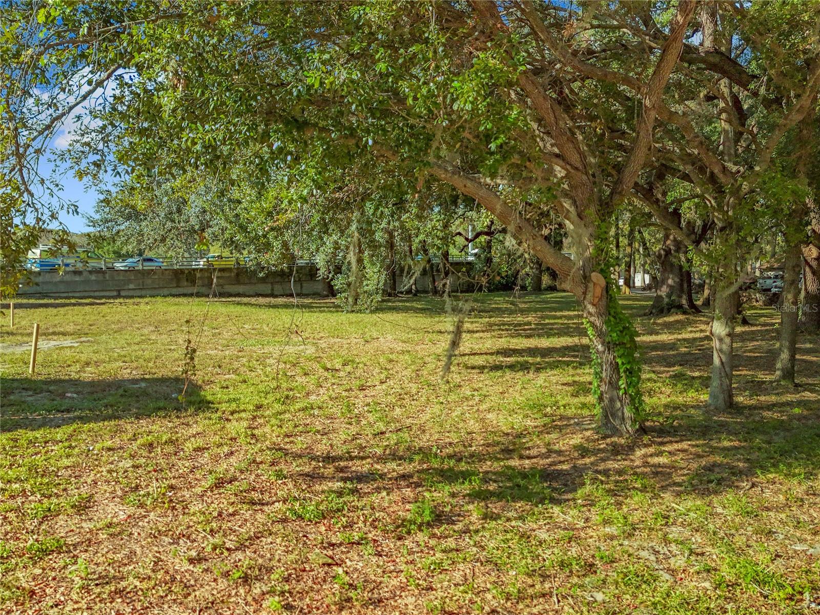 LION LN, TAVARES, FL, 32778