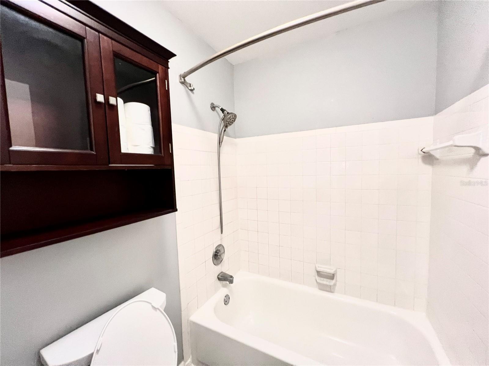 15519 MORNING DR, LUTZ, FL, 33559