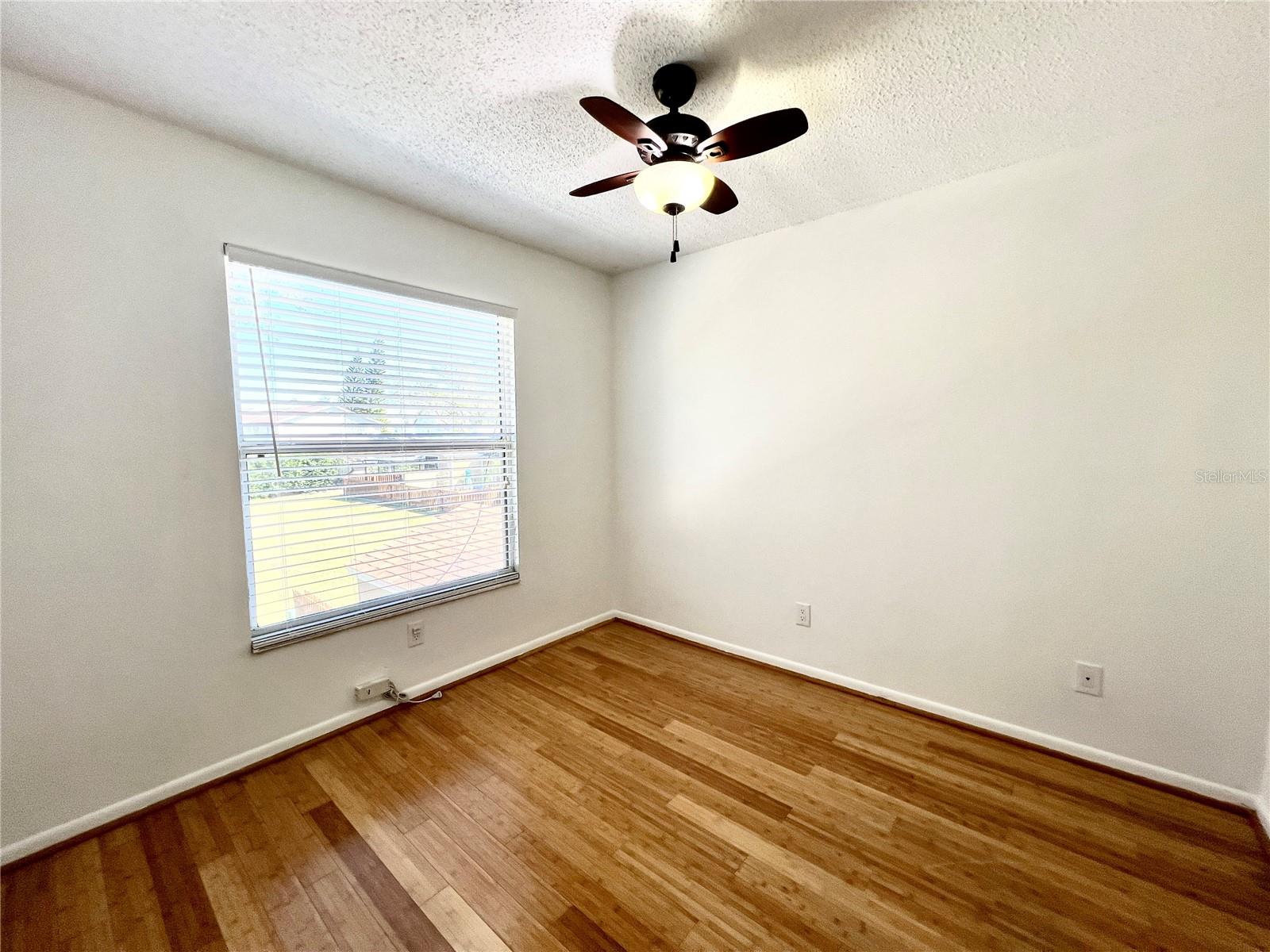 15519 MORNING DR, LUTZ, FL, 33559