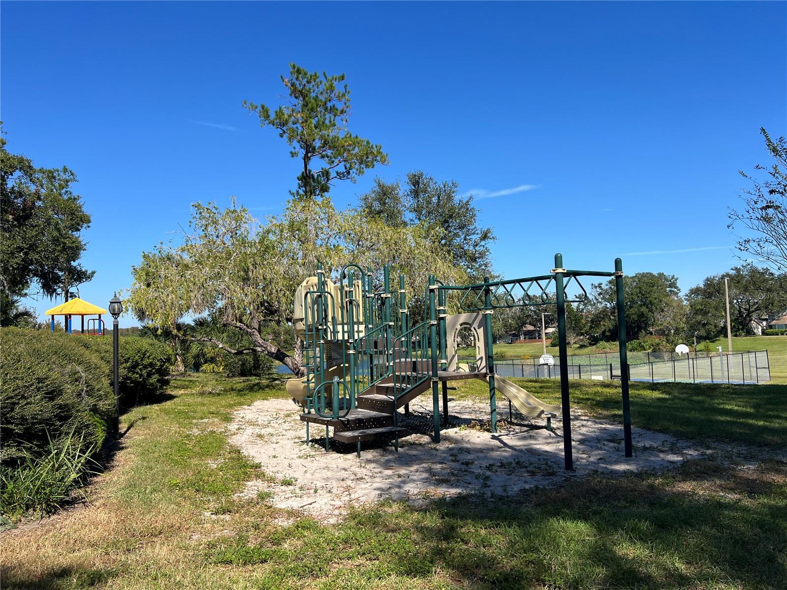 15519 MORNING DR, LUTZ, FL, 33559