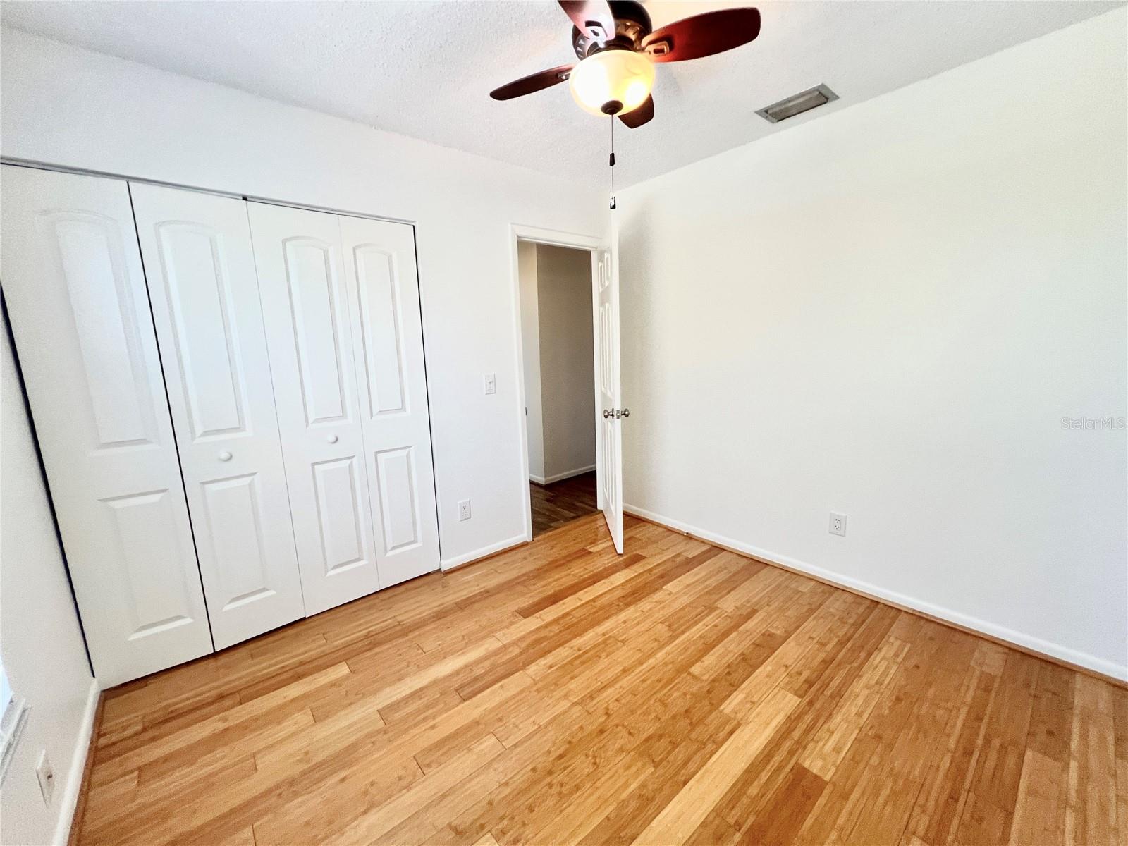 15519 MORNING DR, LUTZ, FL, 33559