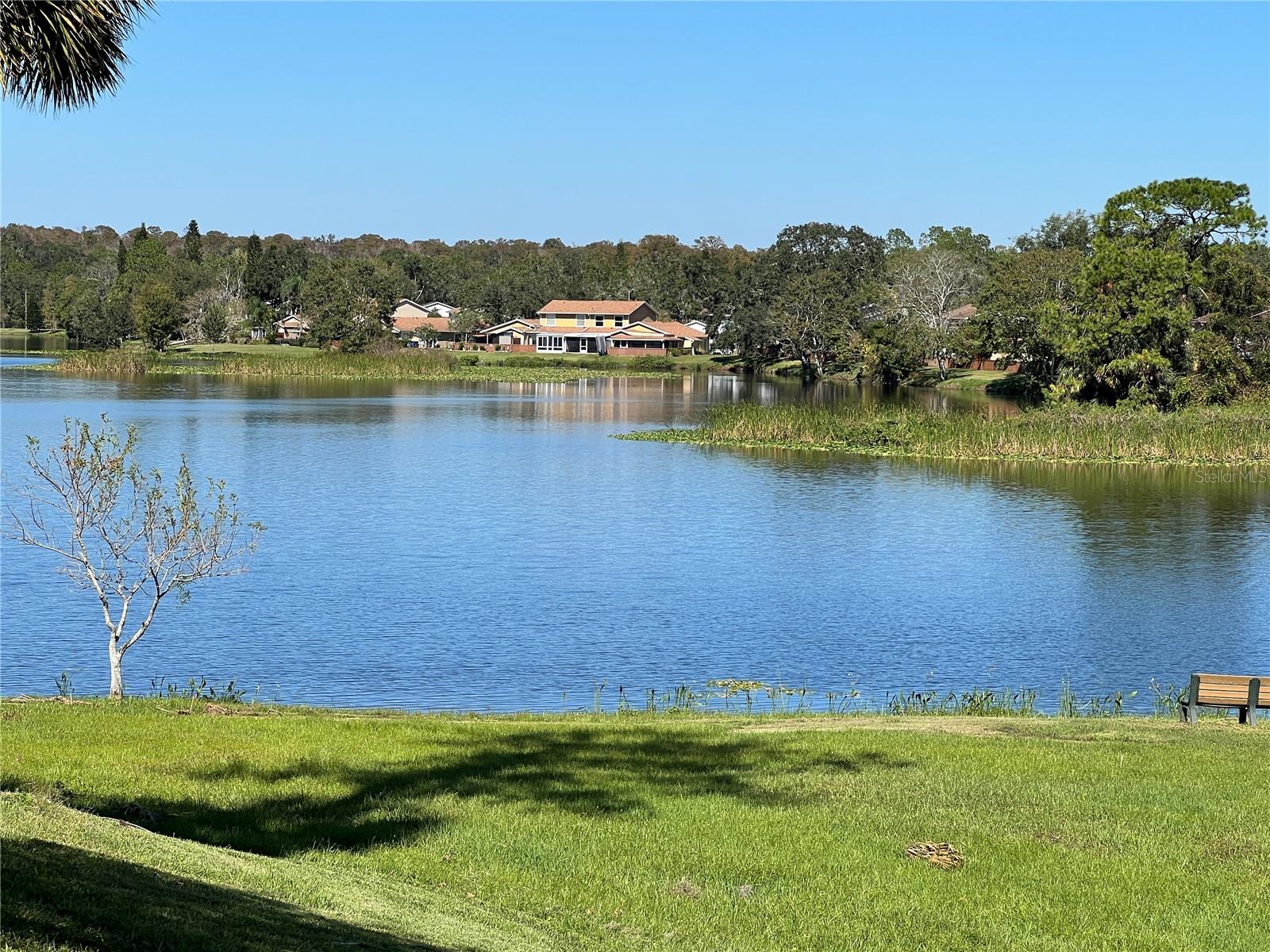 15519 MORNING DR, LUTZ, FL, 33559