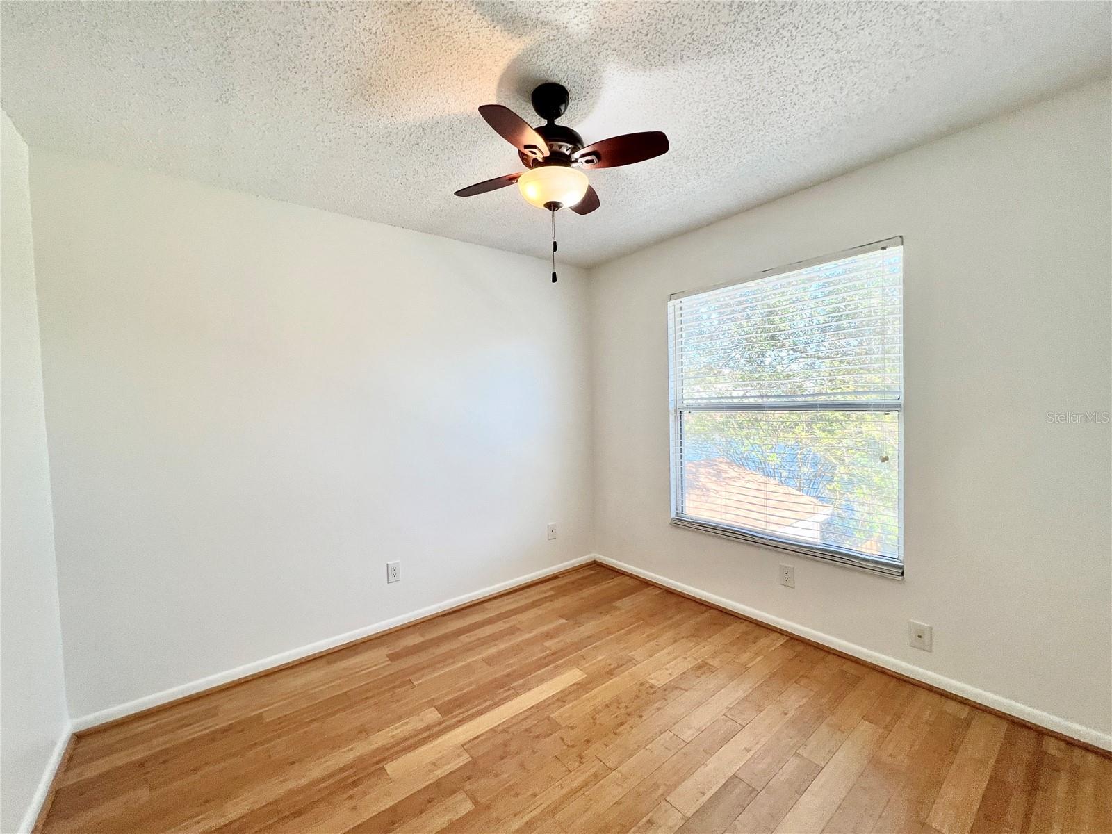 15519 MORNING DR, LUTZ, FL, 33559