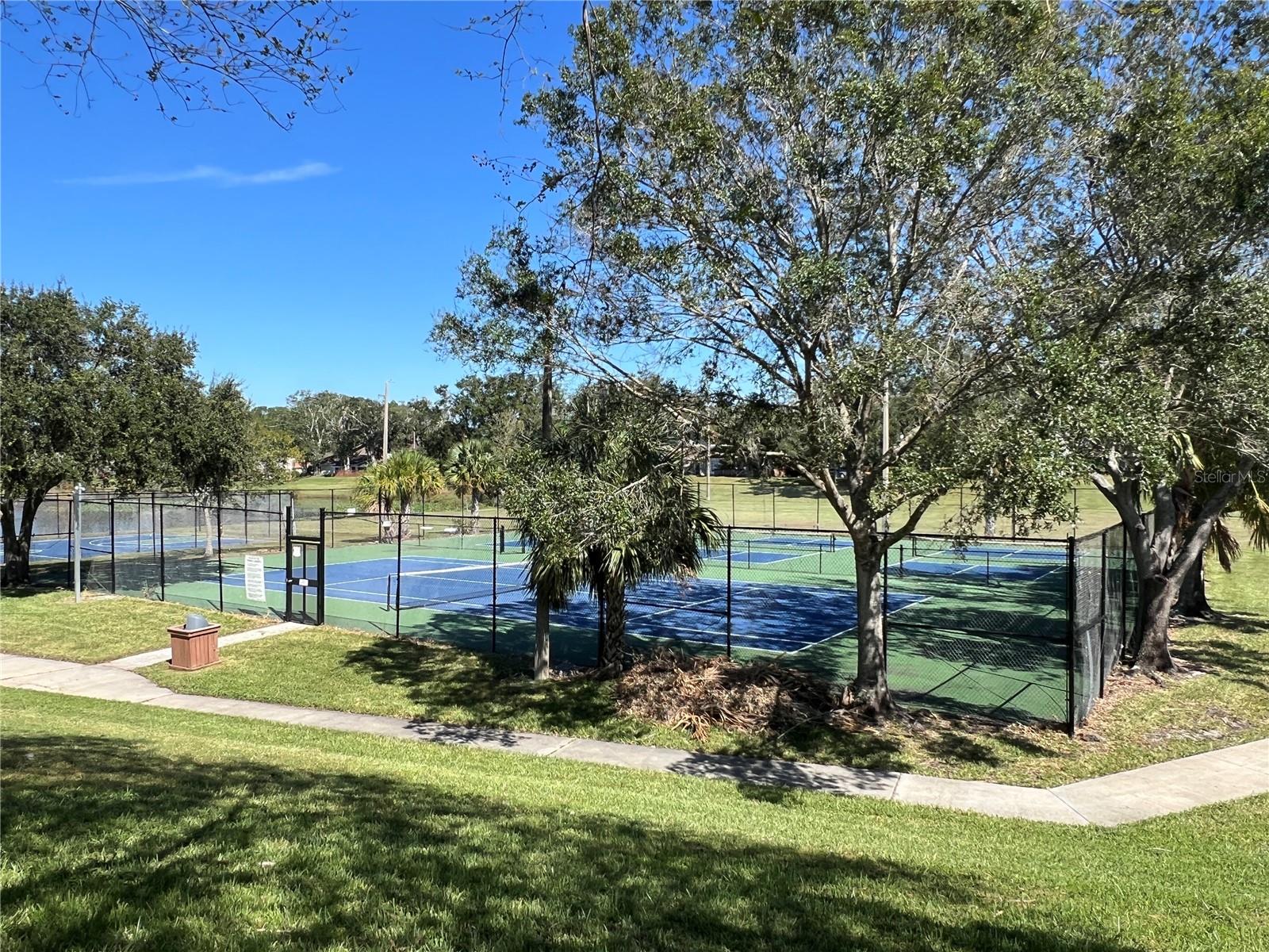 15519 MORNING DR, LUTZ, FL, 33559