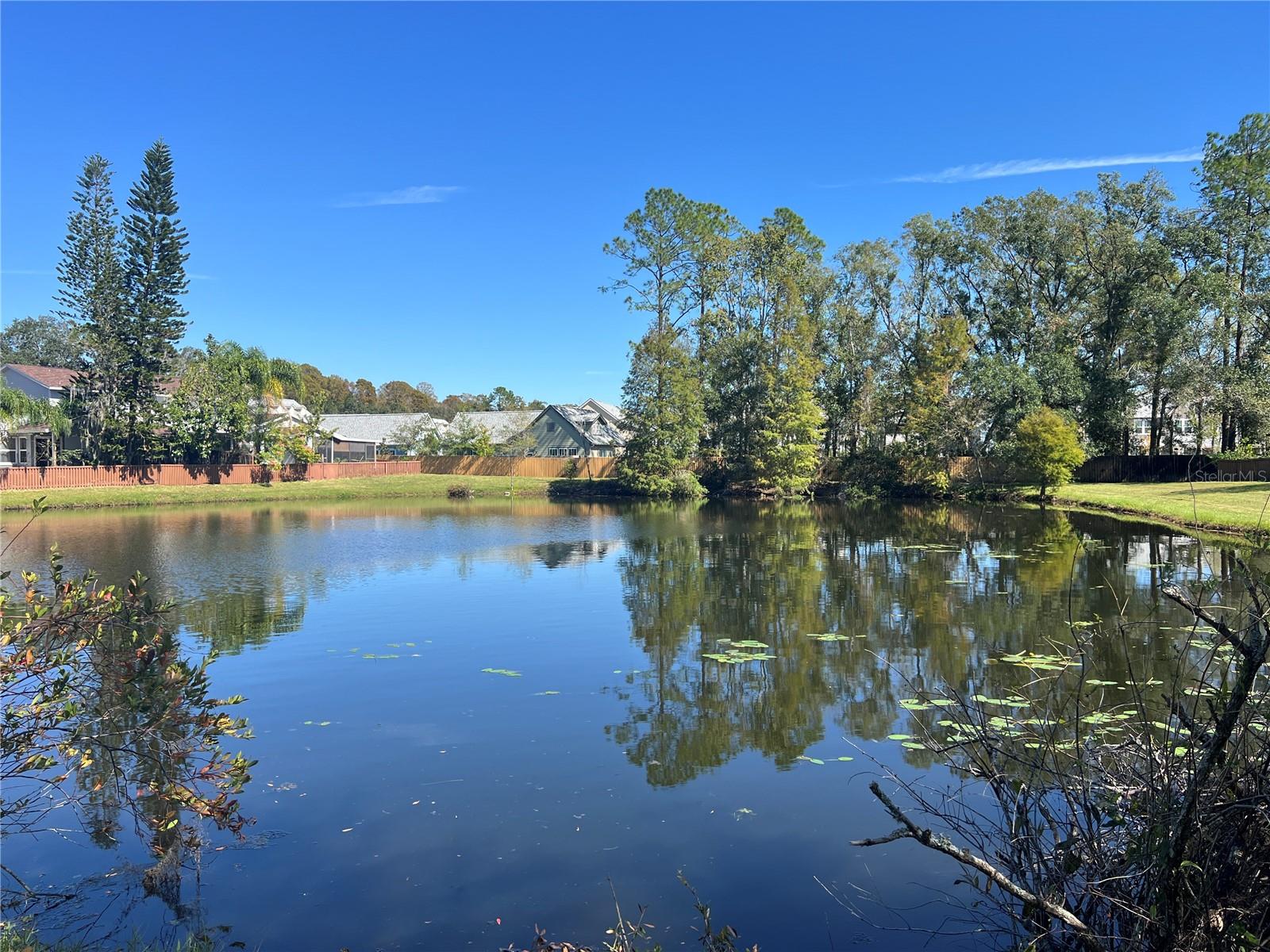 15519 MORNING DR, LUTZ, FL, 33559