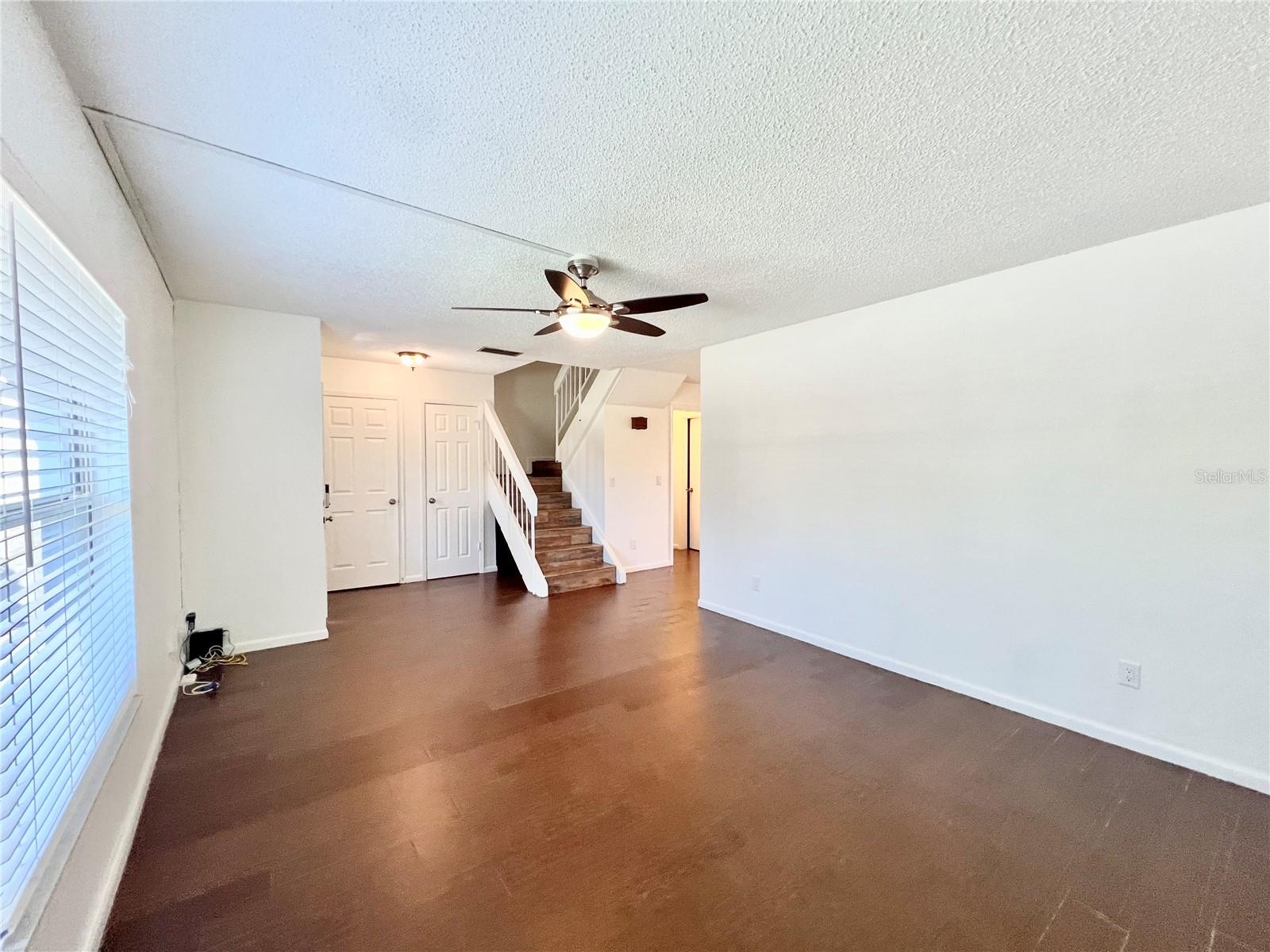 15519 MORNING DR, LUTZ, FL, 33559