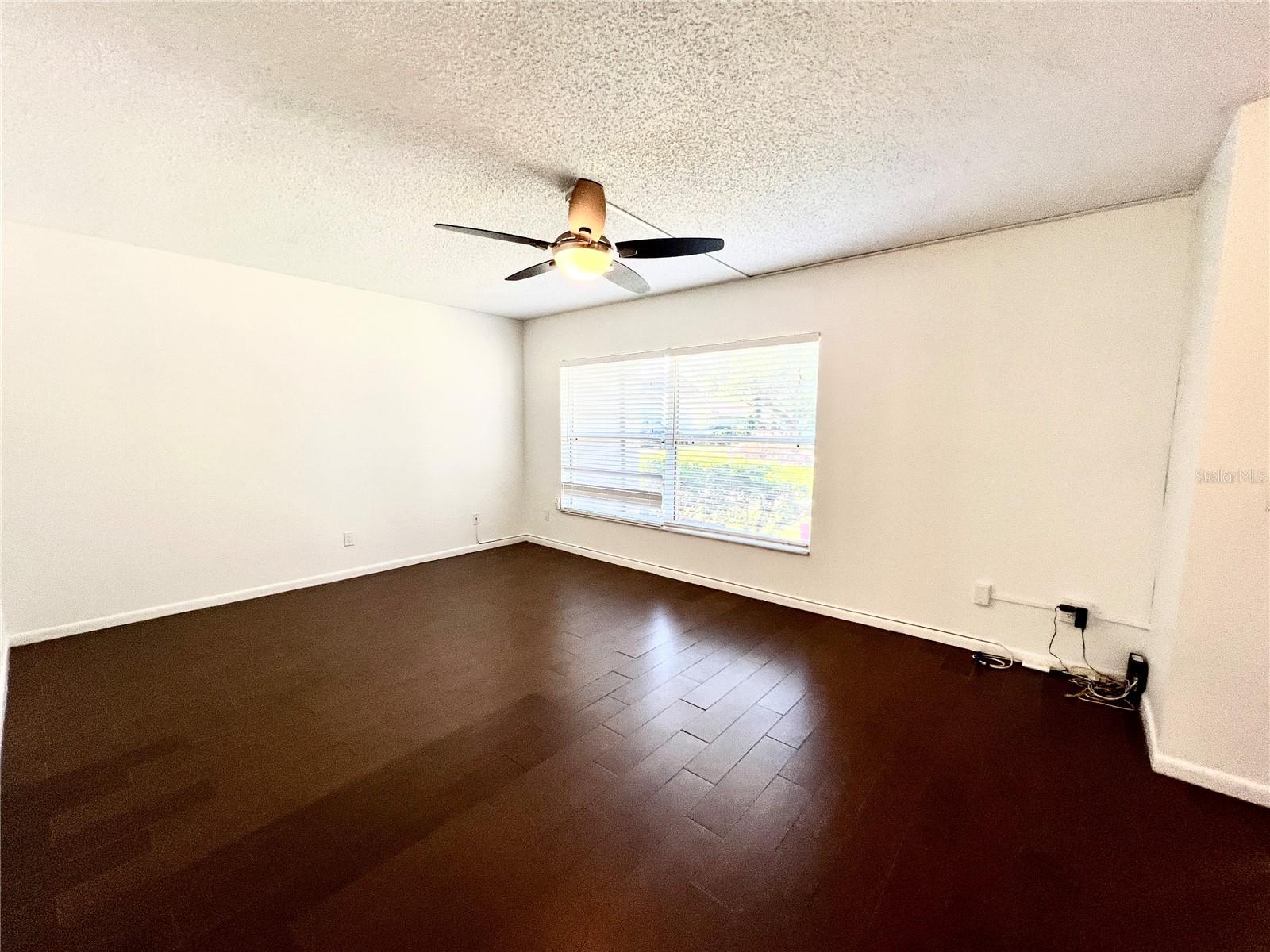15519 MORNING DR, LUTZ, FL, 33559