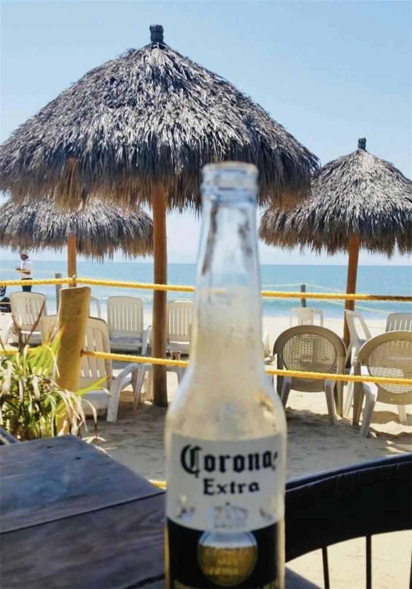 13101 N ORIAGO ST, VENICE, FL, 34293