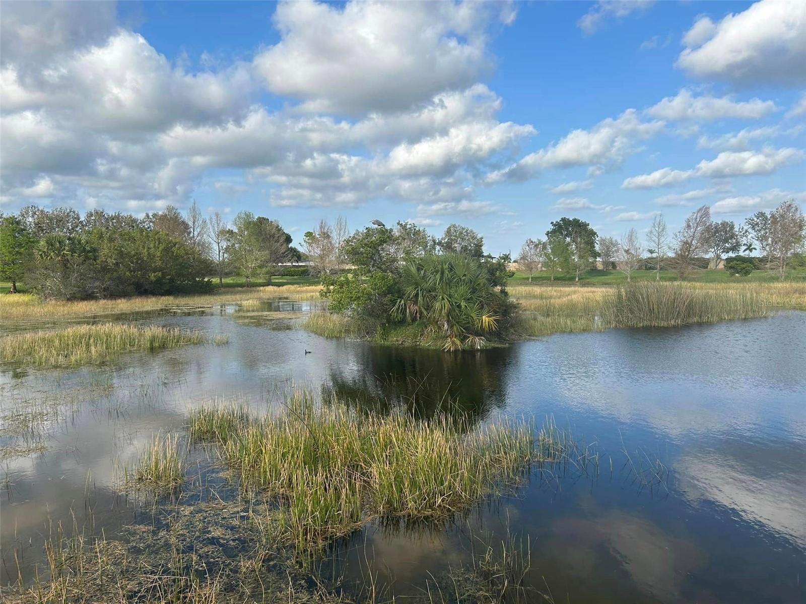 13101 N ORIAGO ST, VENICE, FL, 34293