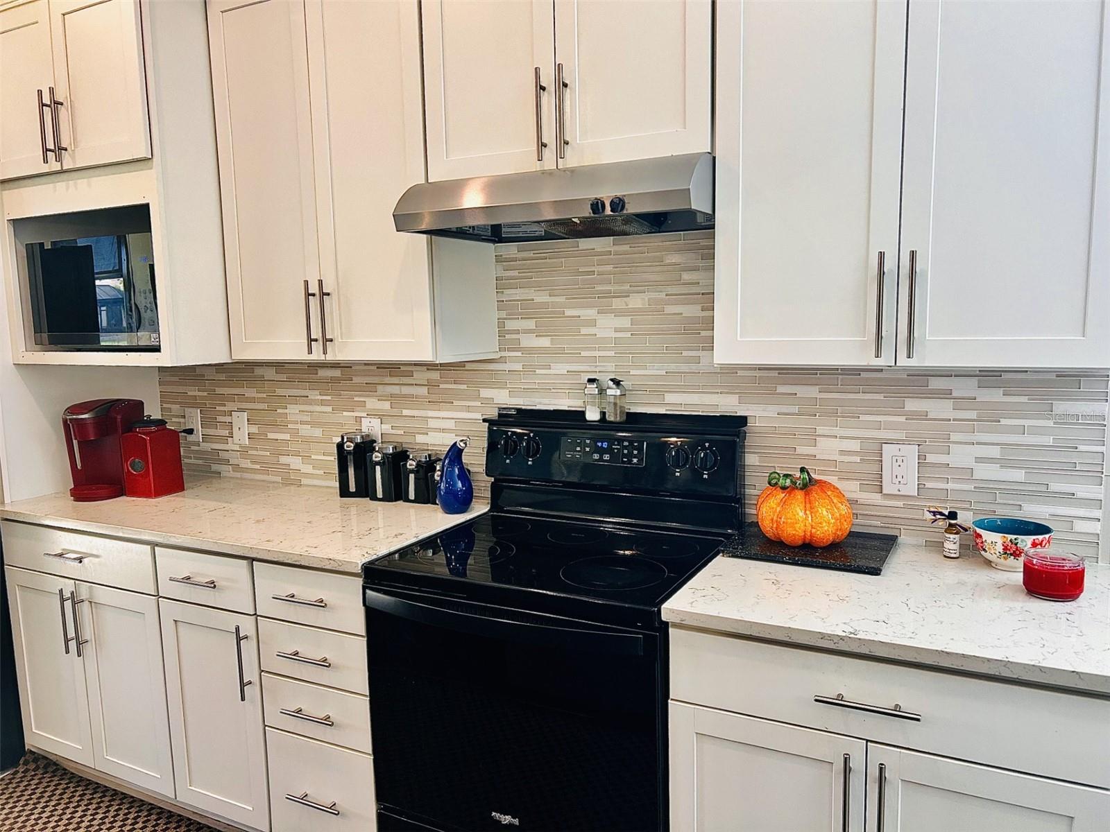 13101 N ORIAGO ST, VENICE, FL, 34293