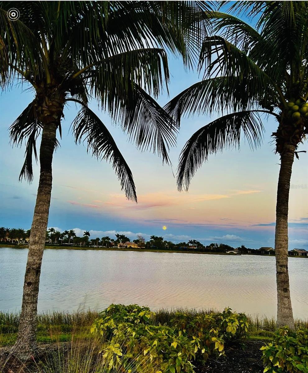 13101 N ORIAGO ST, VENICE, FL, 34293