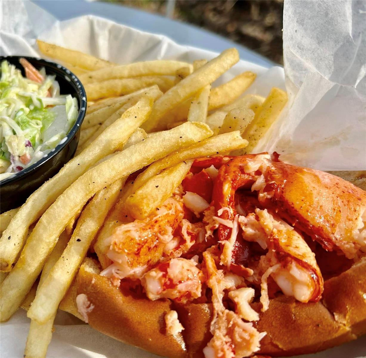 13101 N ORIAGO ST, VENICE, FL, 34293