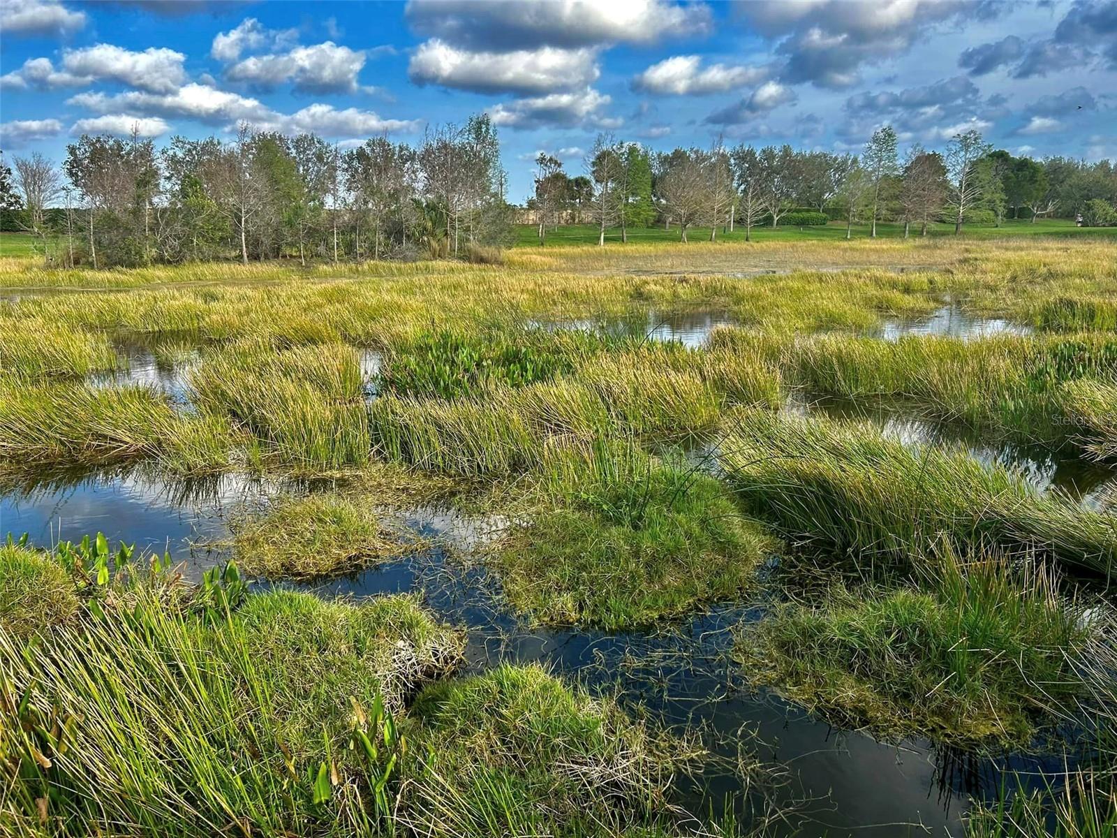 13101 N ORIAGO ST, VENICE, FL, 34293