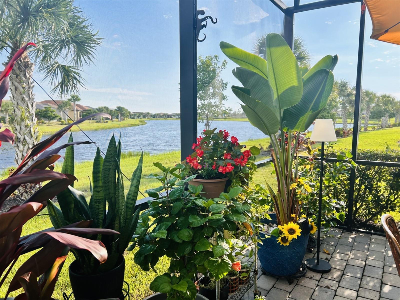 13101 N ORIAGO ST, VENICE, FL, 34293