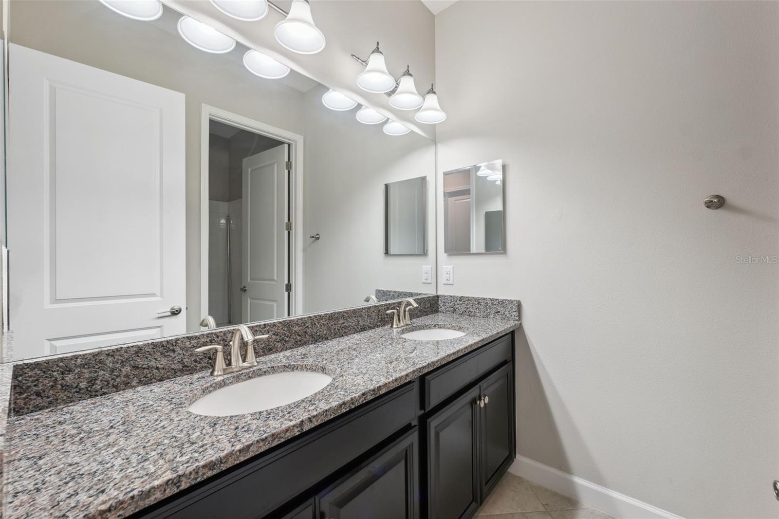 8025 ROMA DUNE DR, WESLEY CHAPEL, FL, 33545