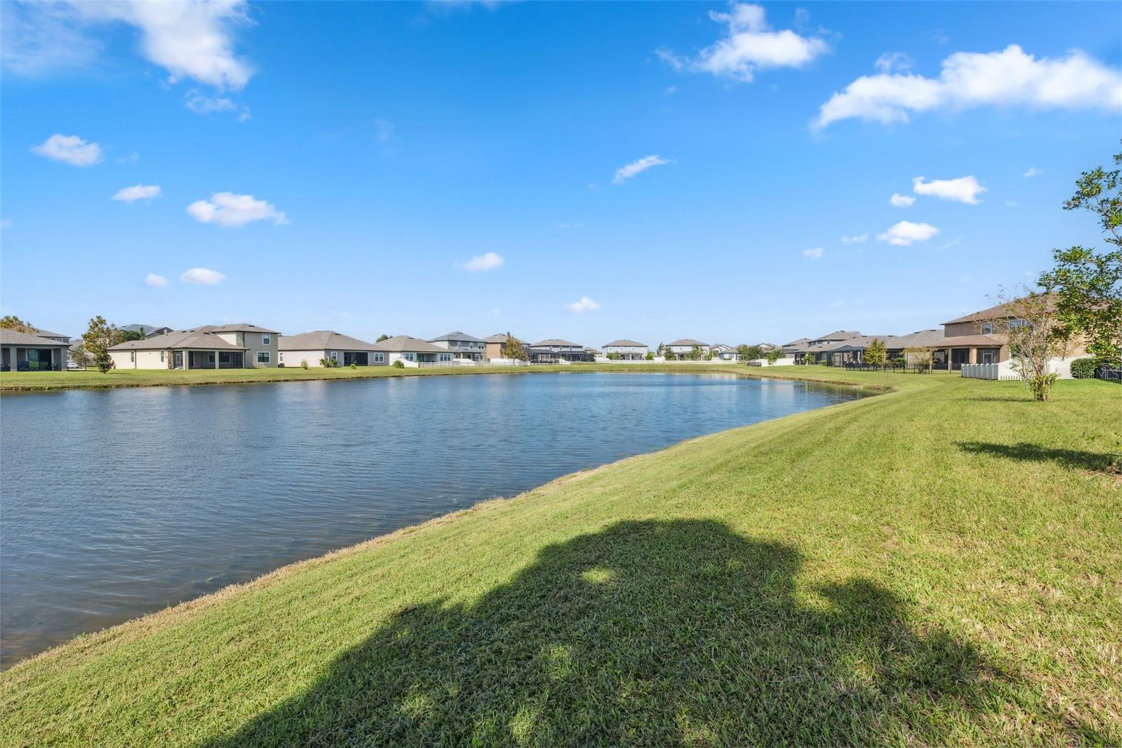 8025 ROMA DUNE DR, WESLEY CHAPEL, FL, 33545