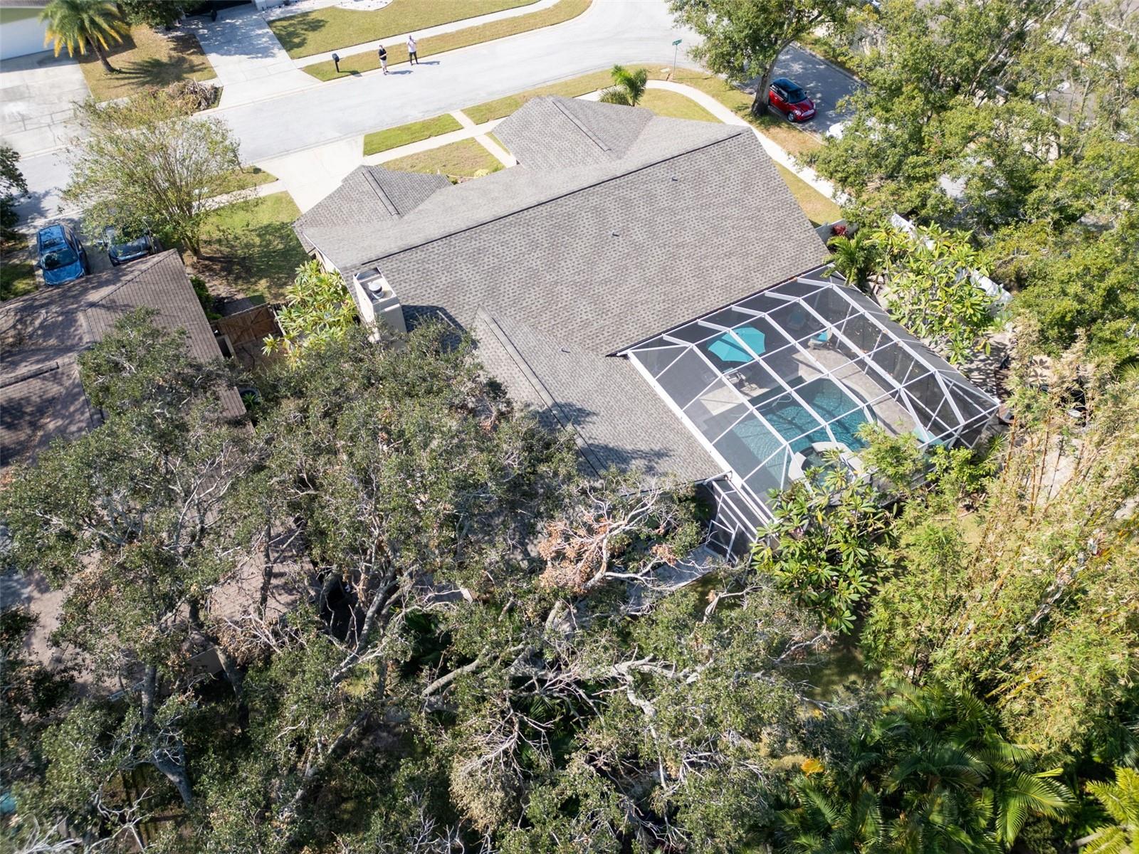 1214 BOLIVAR CT, DUNEDIN, FL, 34698